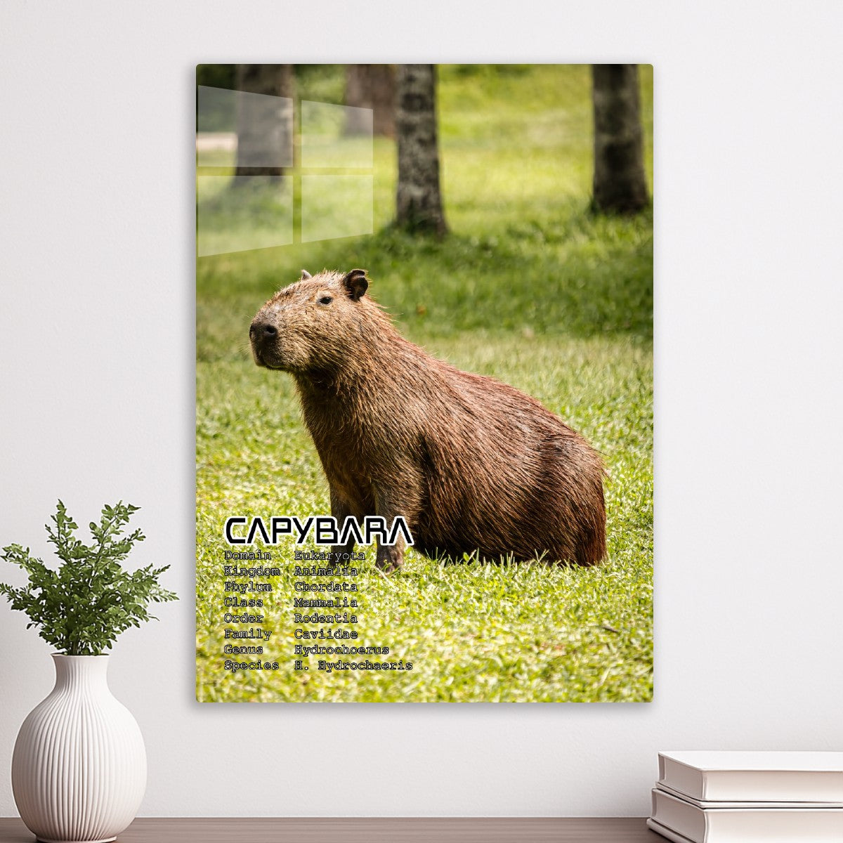 Capybara