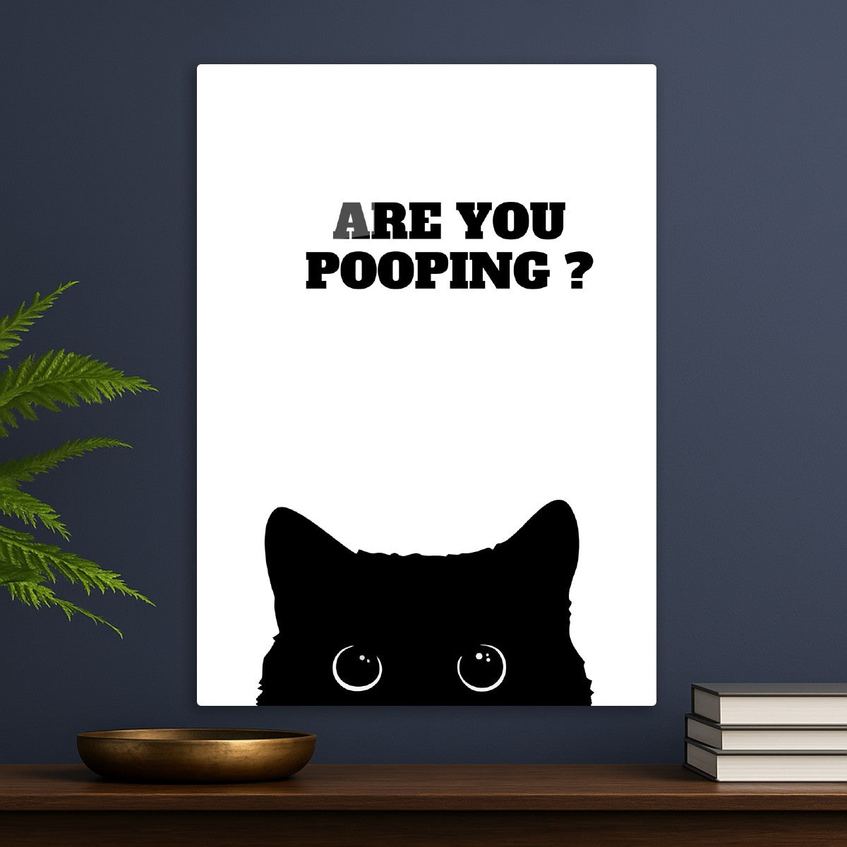 Black Cat Are you pooping 