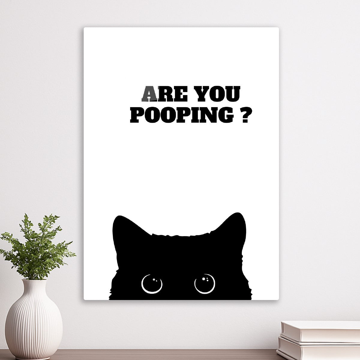 Black Cat Are you pooping 