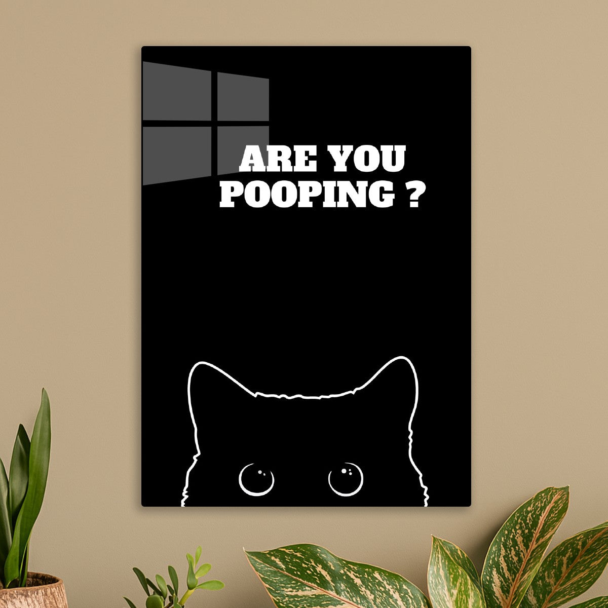 Black Cat Are you pooping 