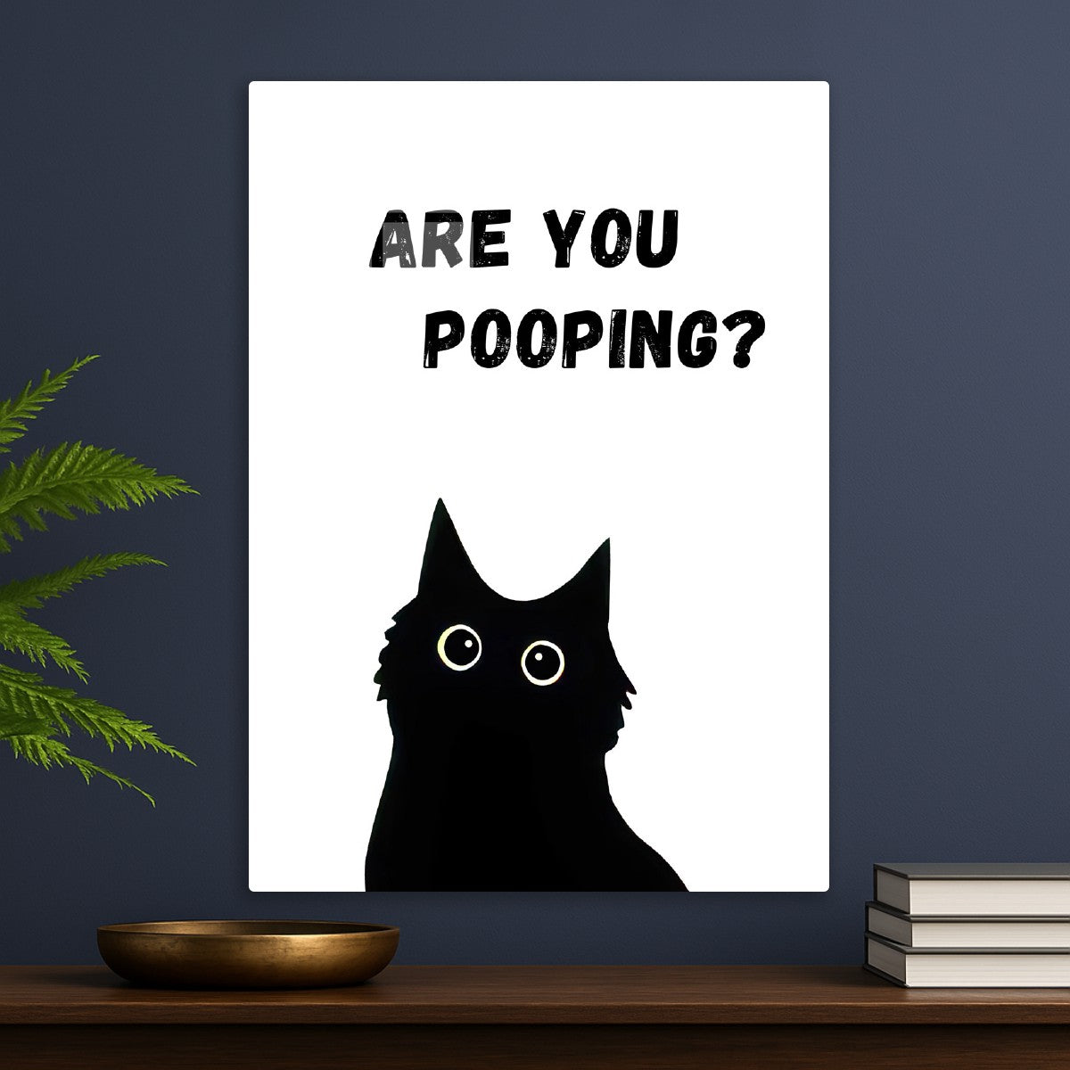 Black Cat Are you pooping
