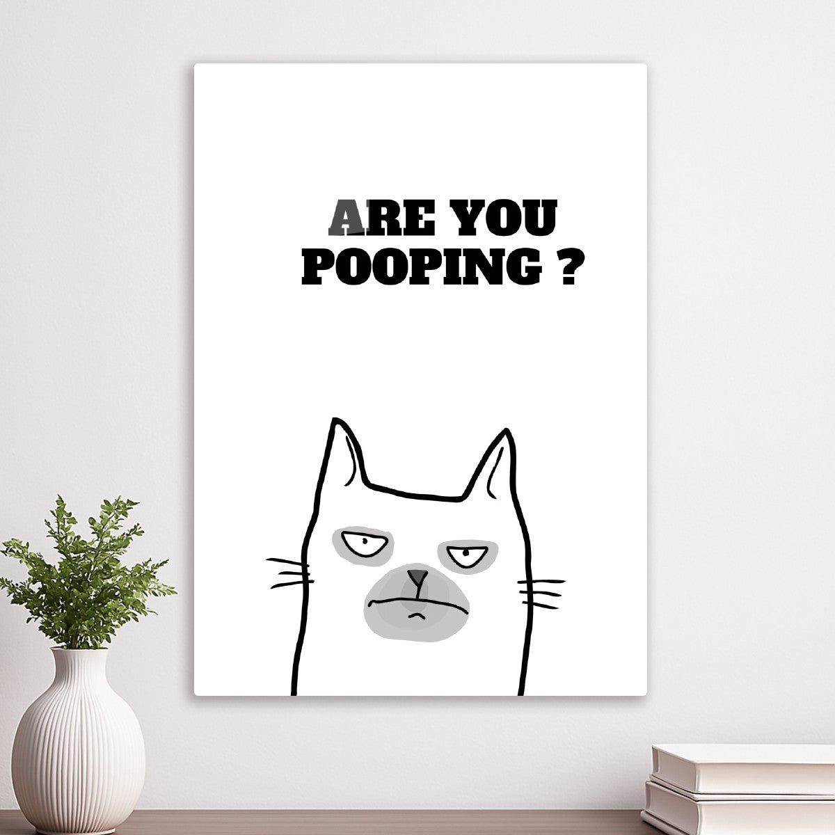 White Cat Are you pooping