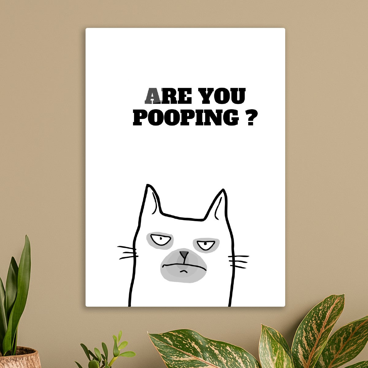White Cat Are you pooping