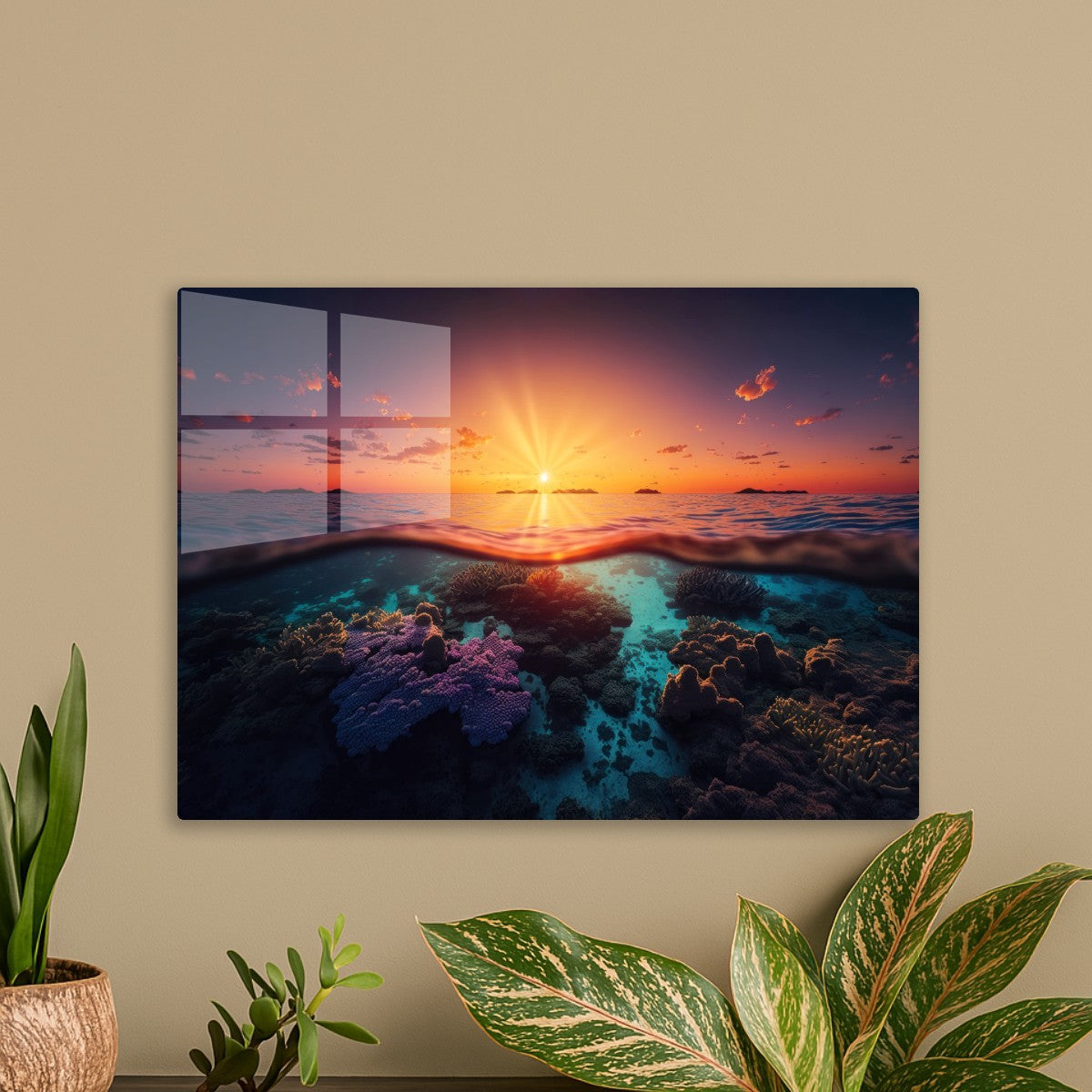 The sun rises over the ocean