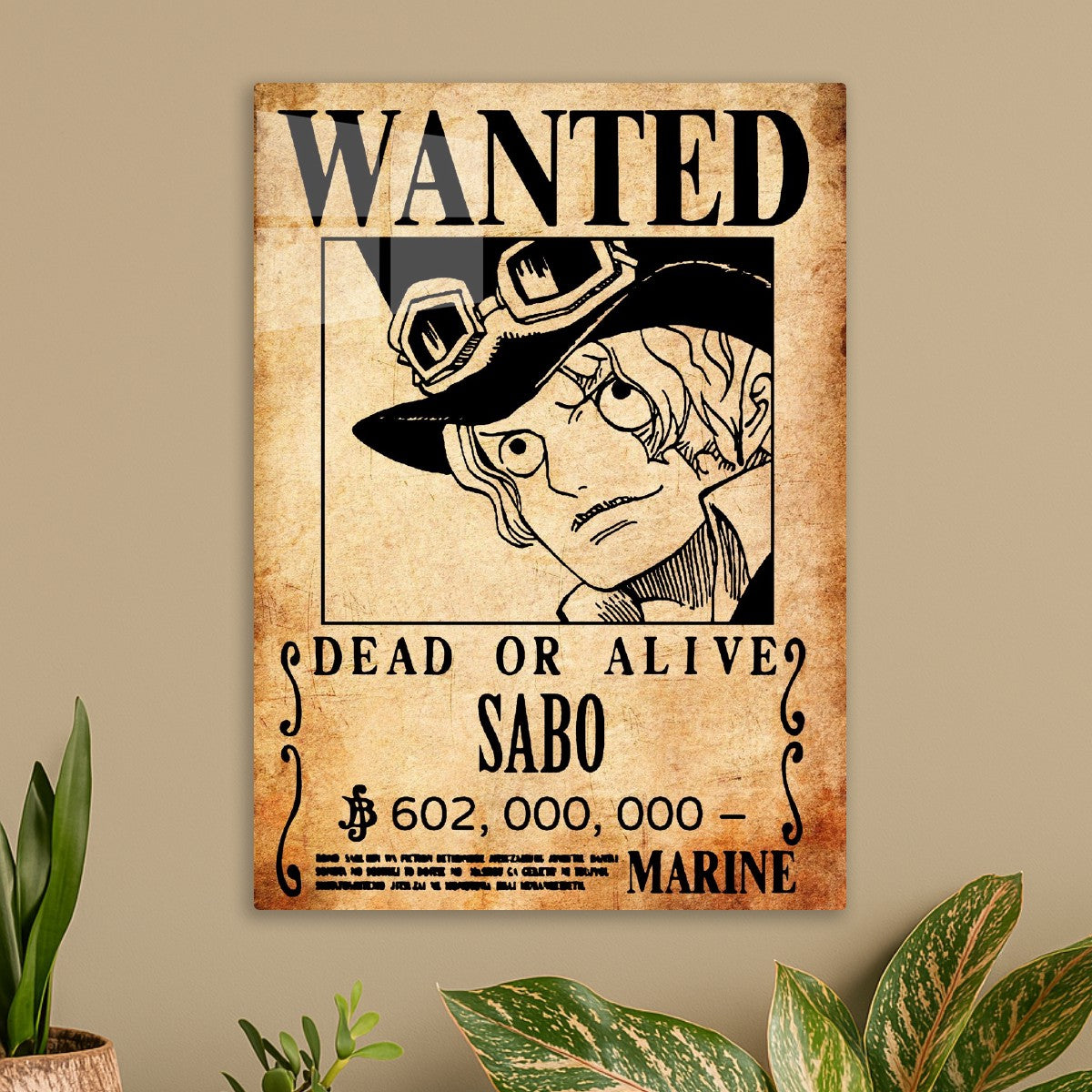 Sabo, One Piece