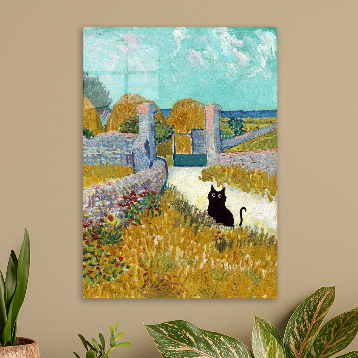 Farm house black cat