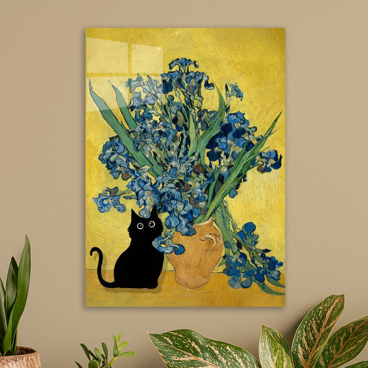 Irises black cat
