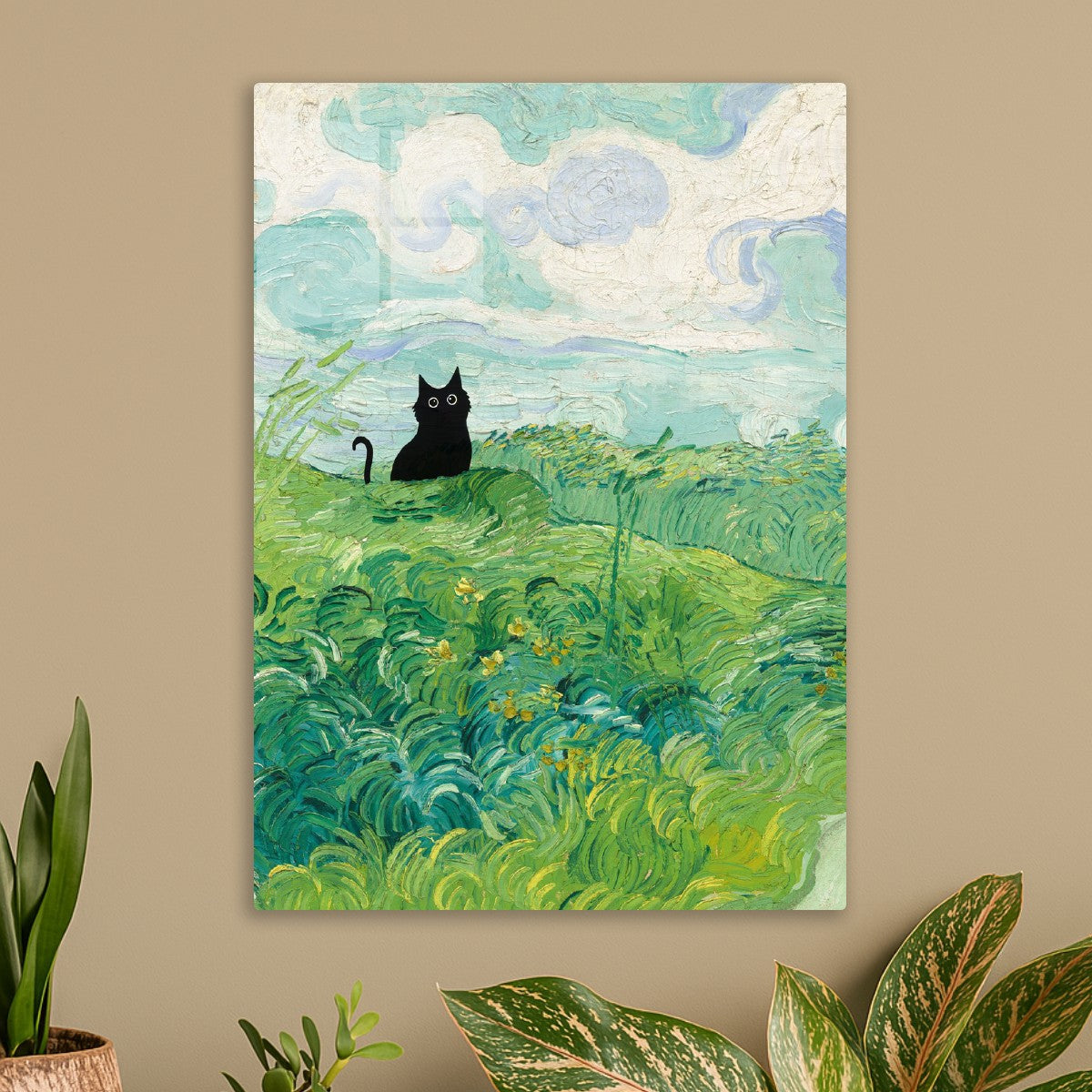 Black CAT Green Wheat Fields
