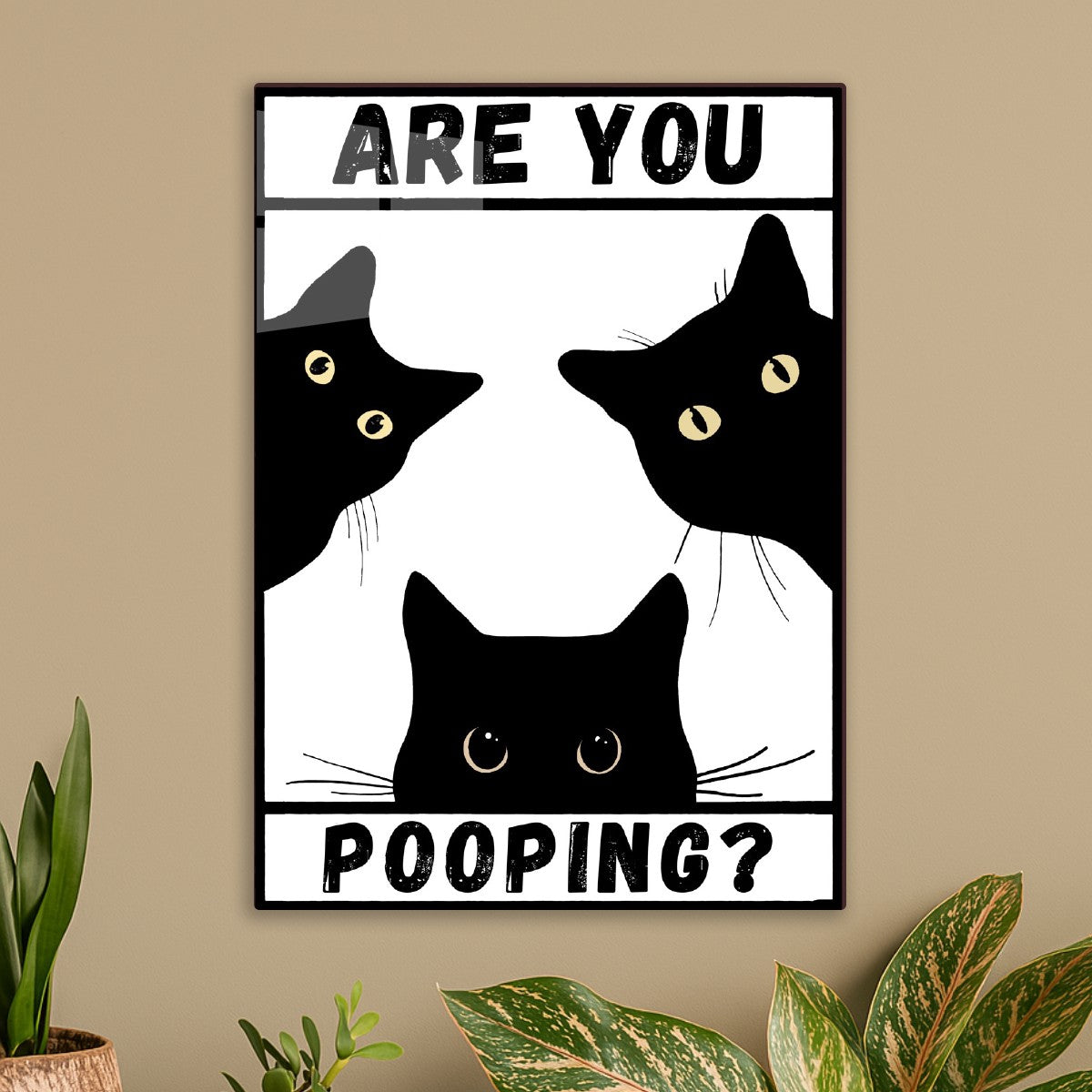 Black Cat Are You Pooping Black and White