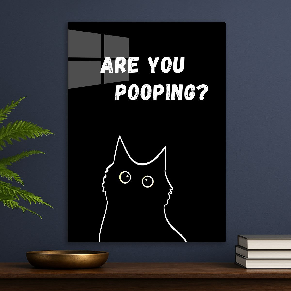 black cat are you pooping cool