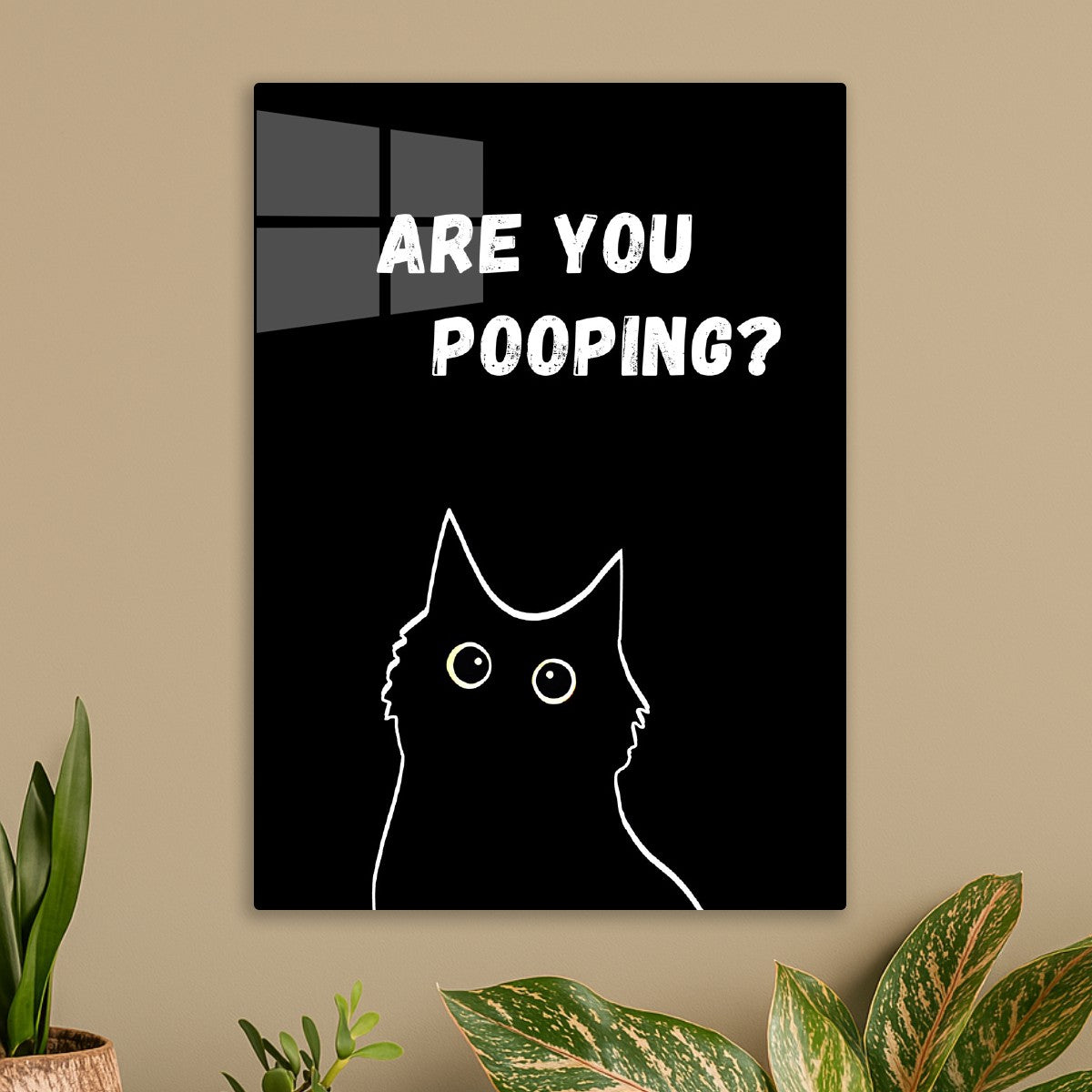 black cat are you pooping cool