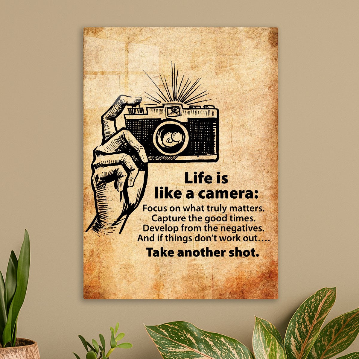 Life is like a camera