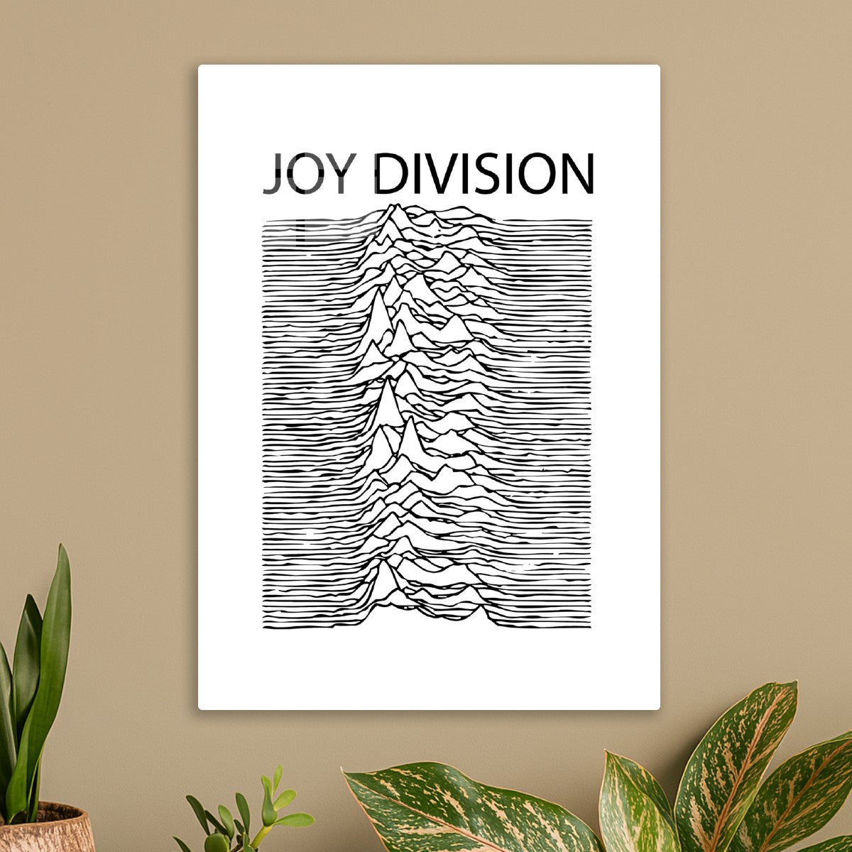 Joy Division