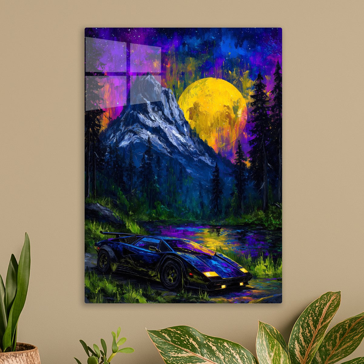 Midnight Dreams