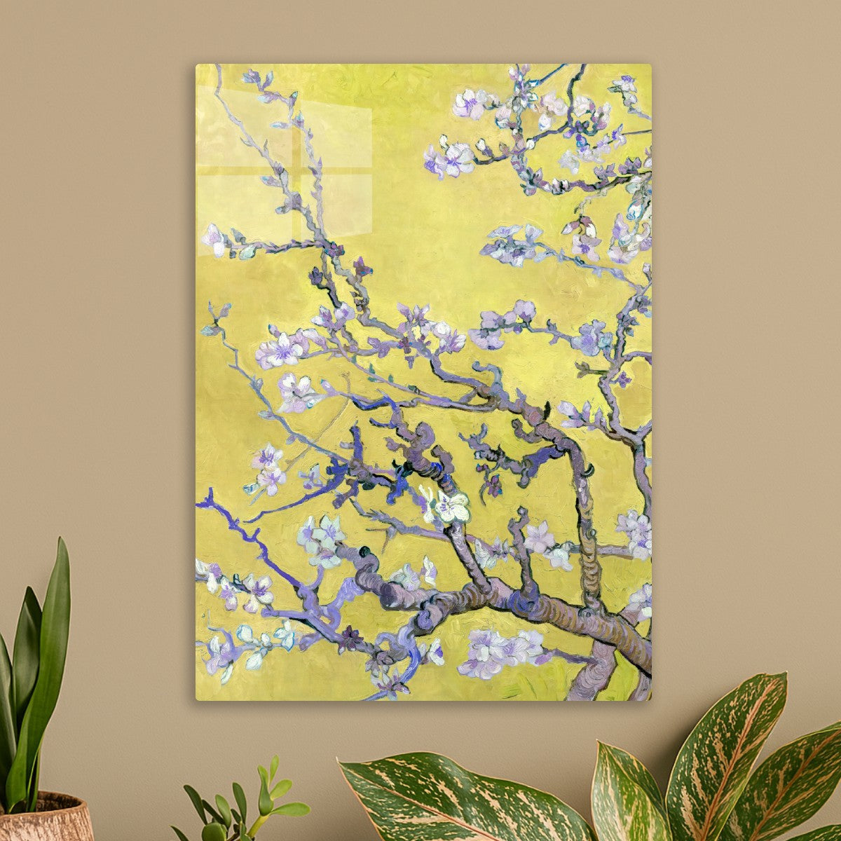 Almond Blossoms in yellow