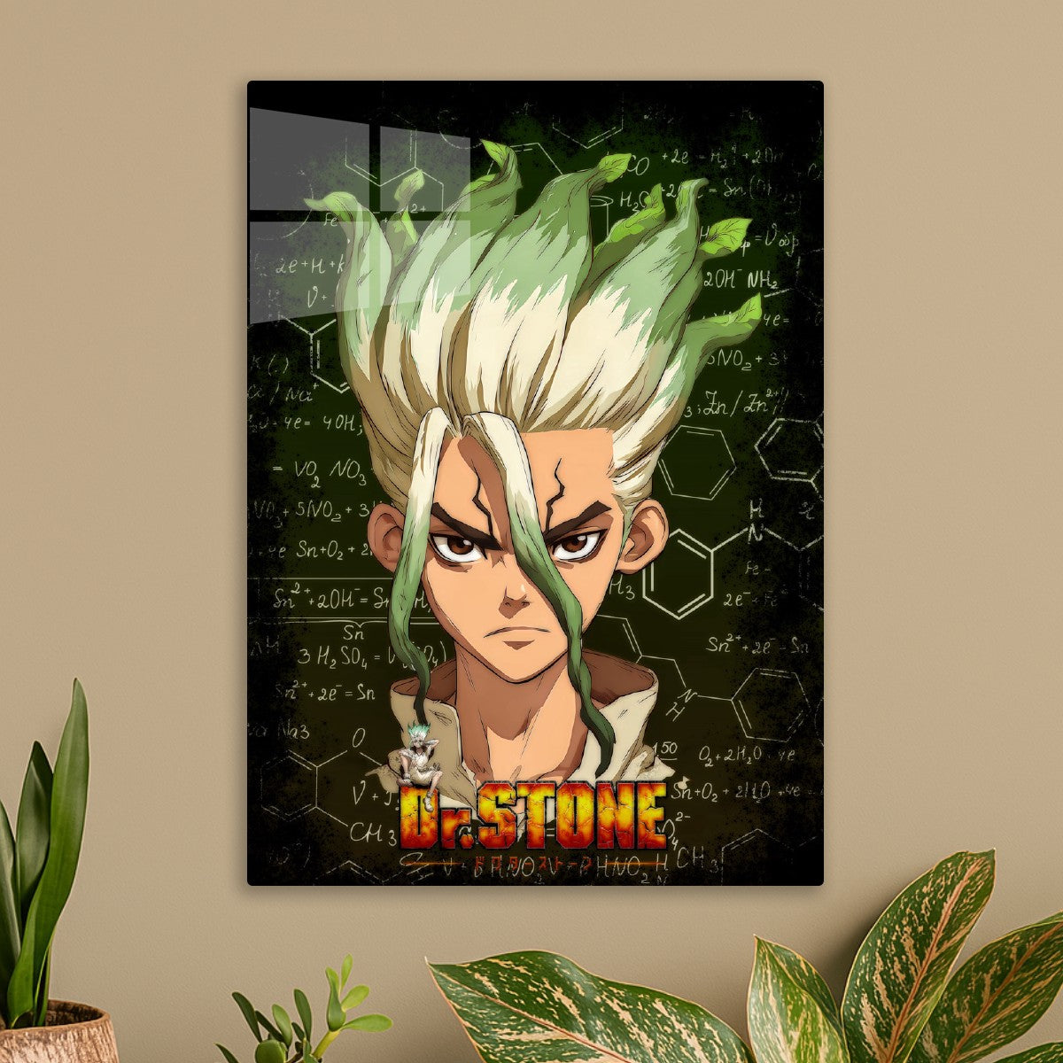 Dr stone senku