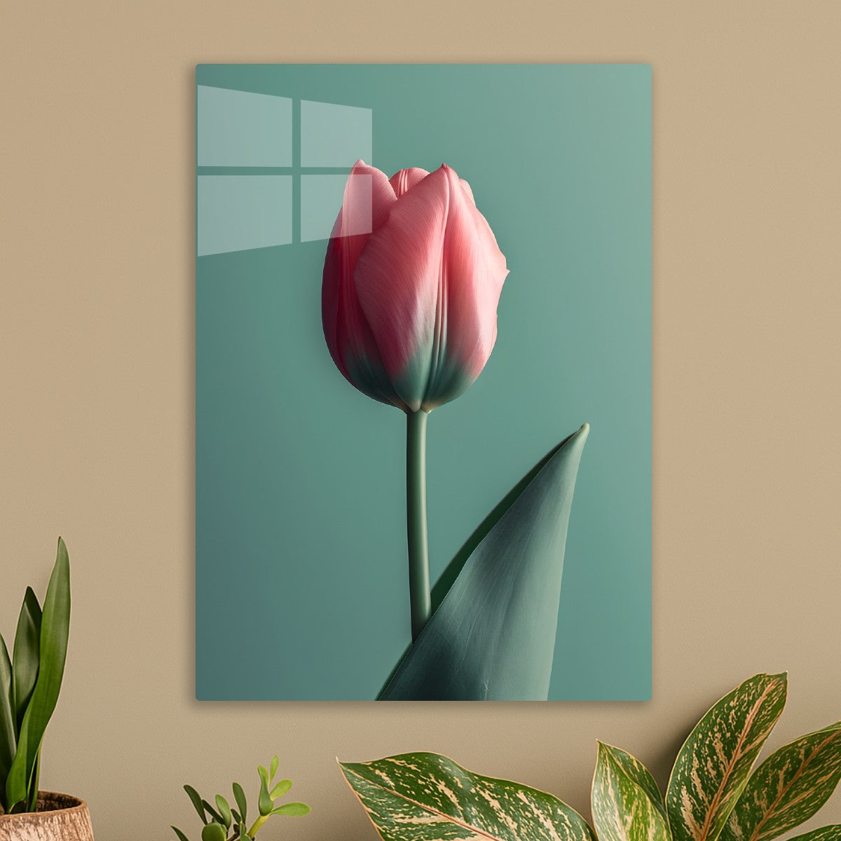 Pink Petal flower