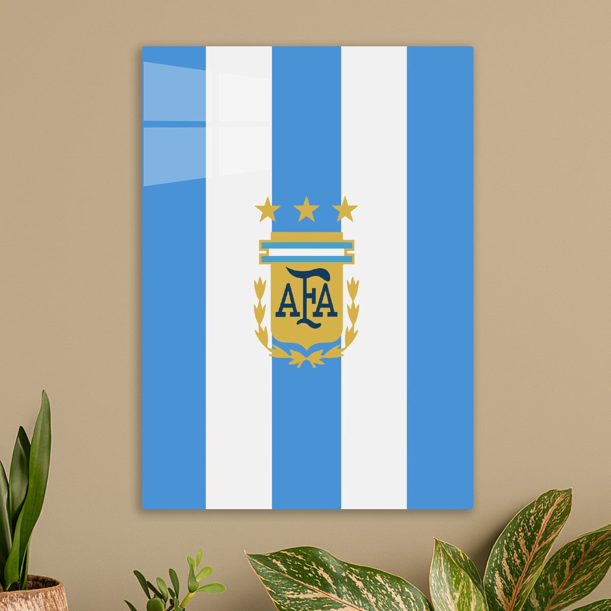 Argentina National Football 