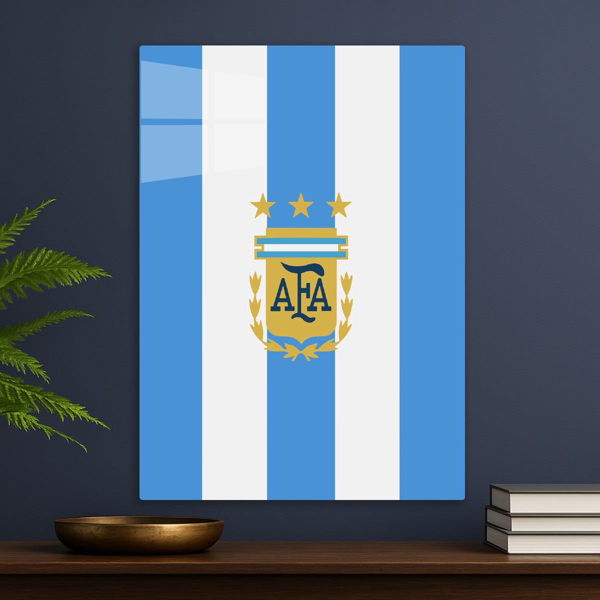Argentina National Football 