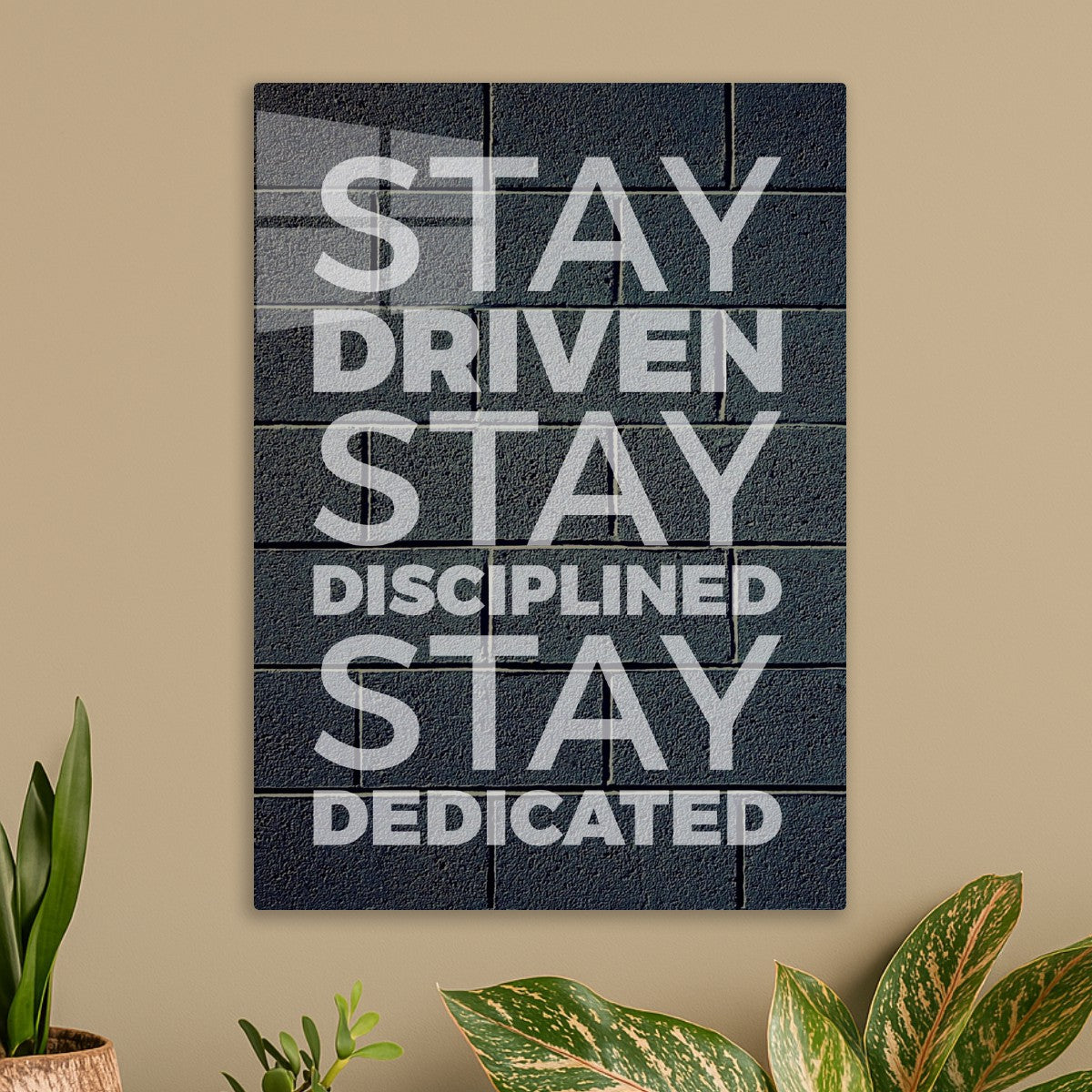 Stay Discipline