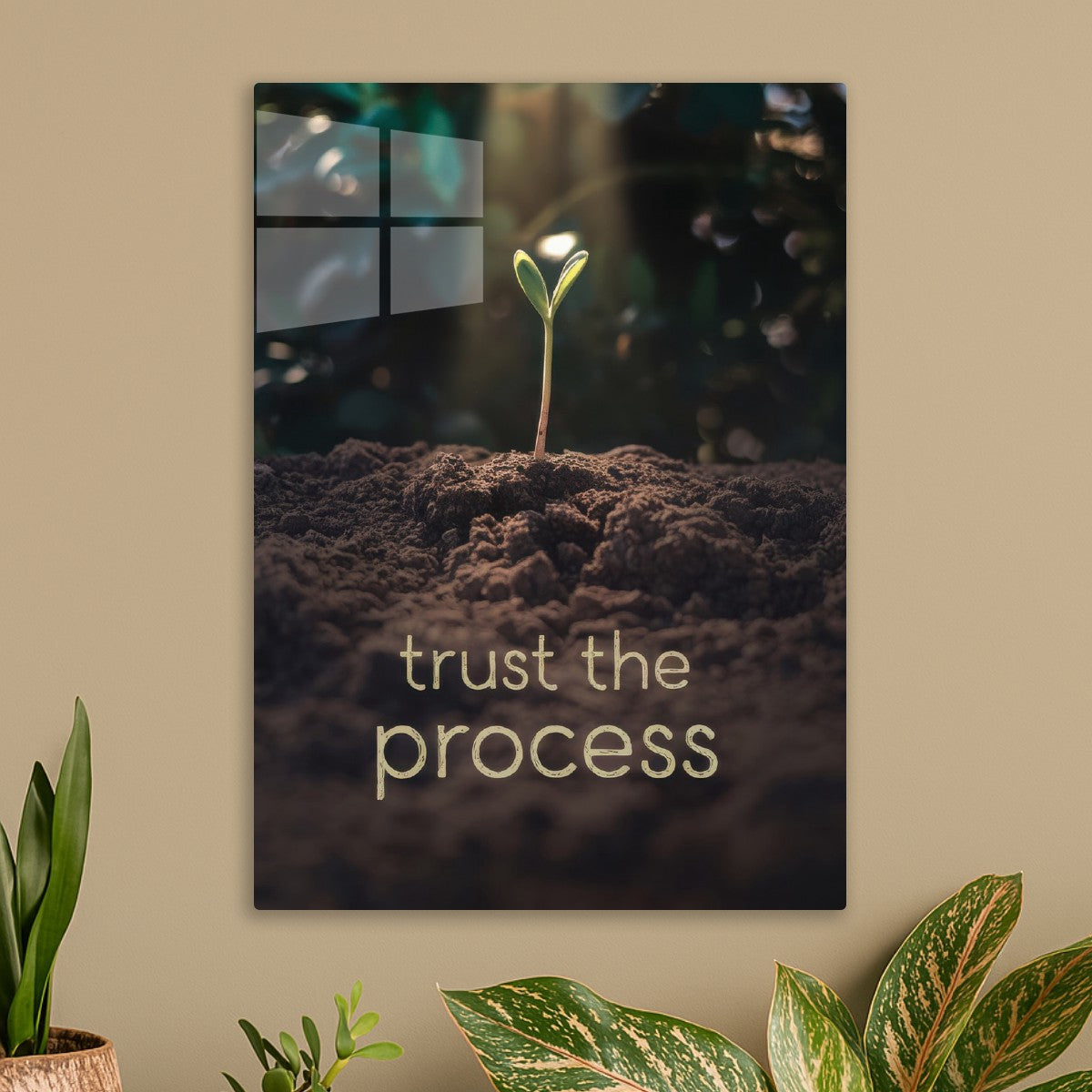 Trust The Prosess
