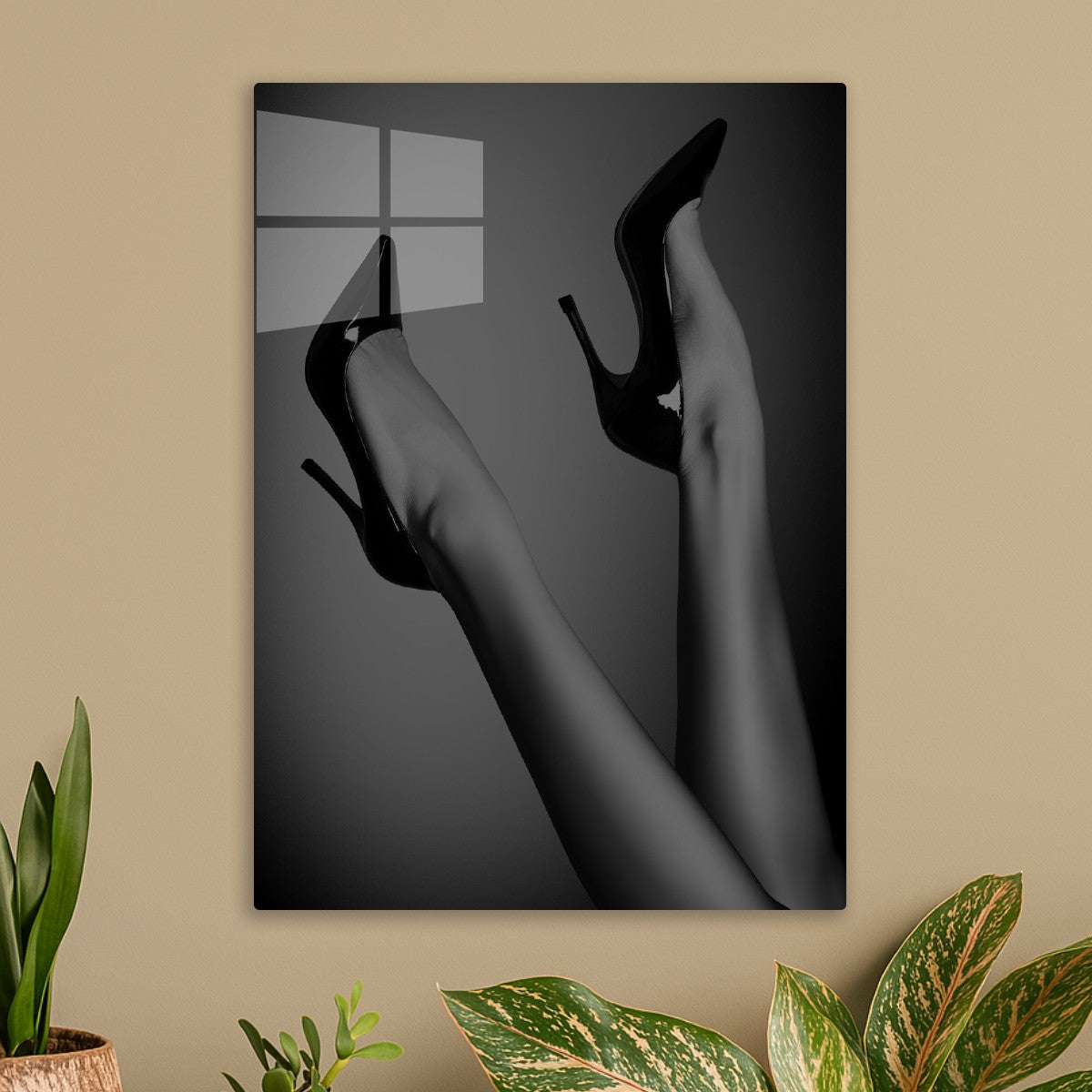 Elephant Black
