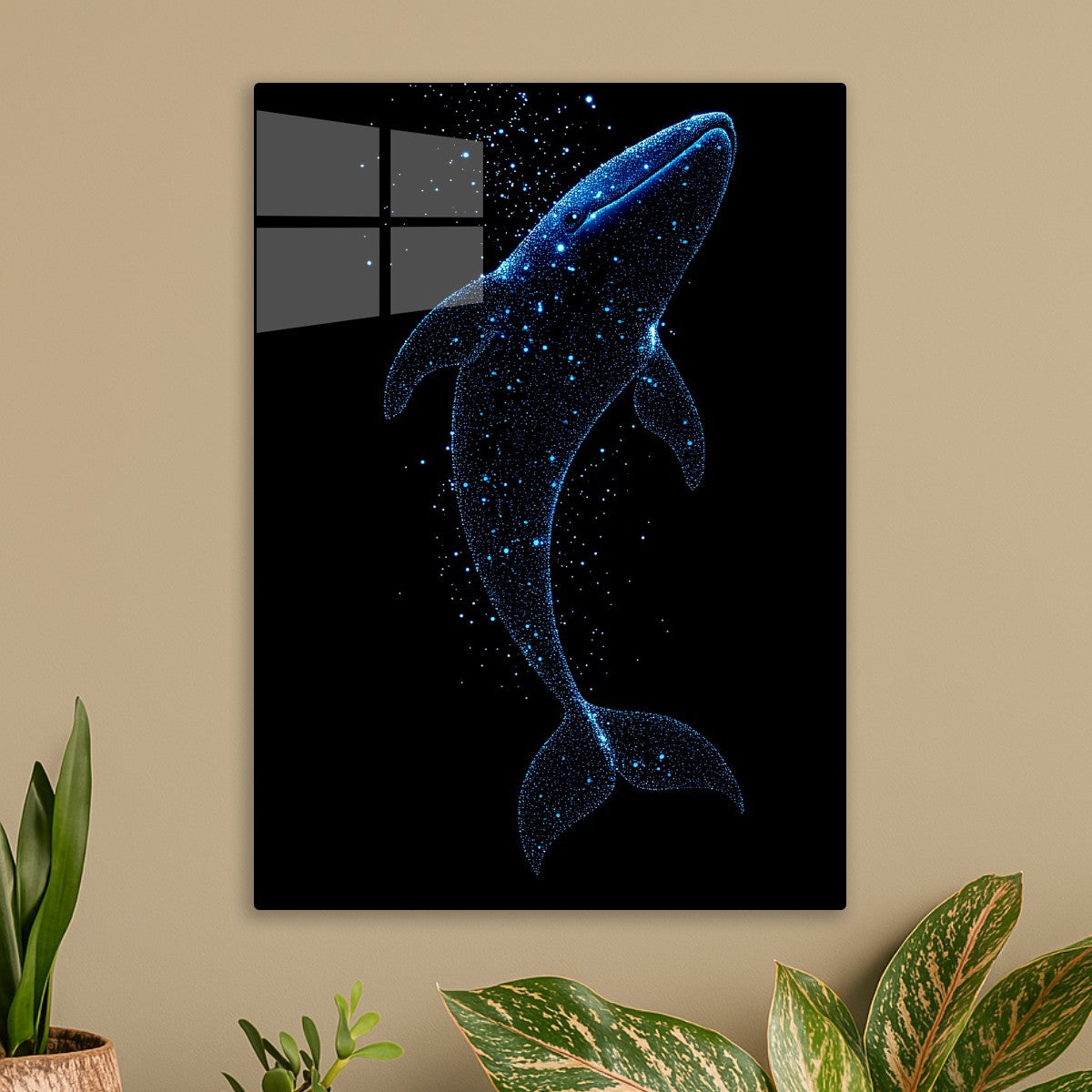 Whale 