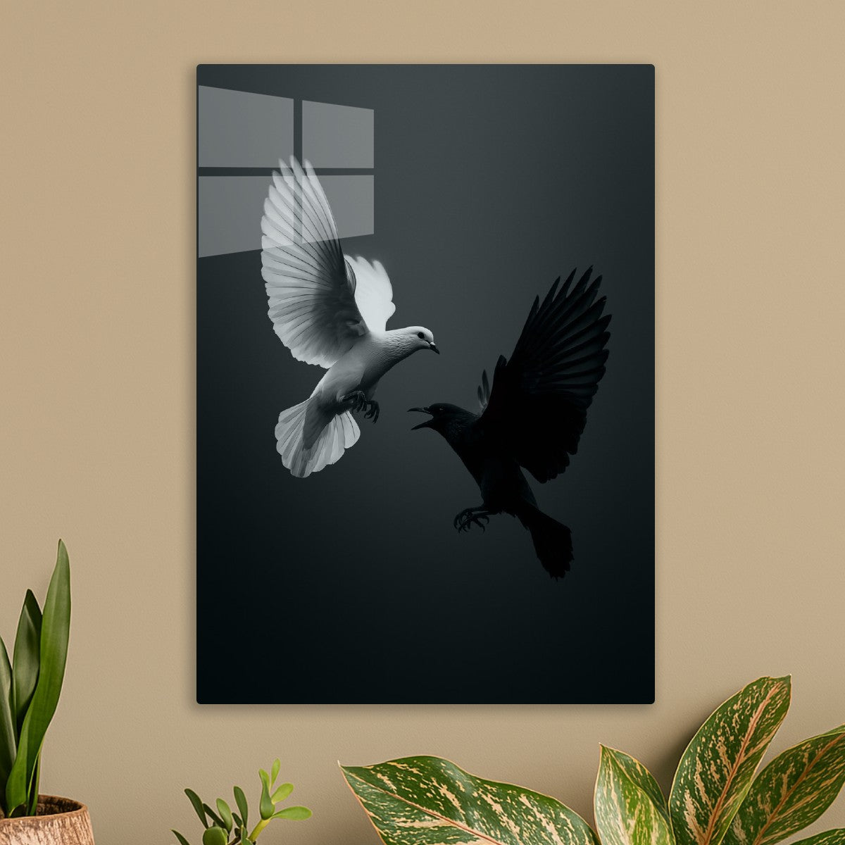Pigeon 