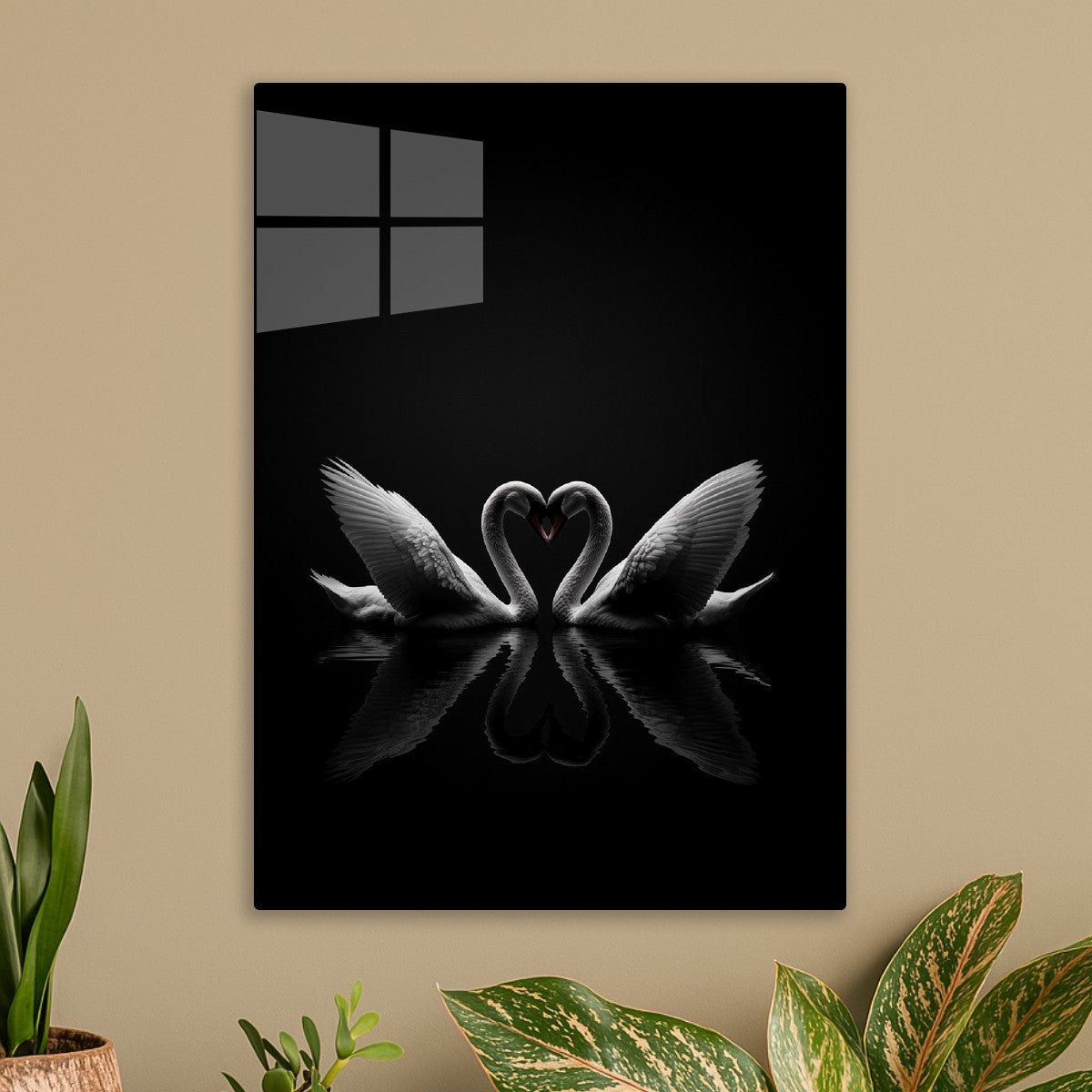 Swan 