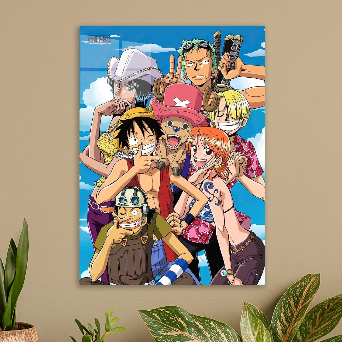 one piece