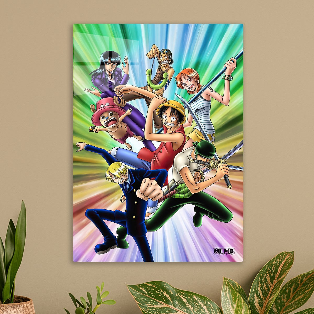one piece