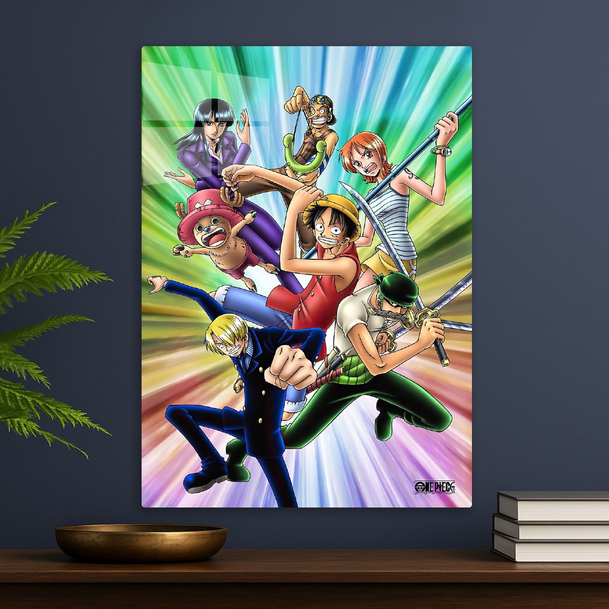 one piece