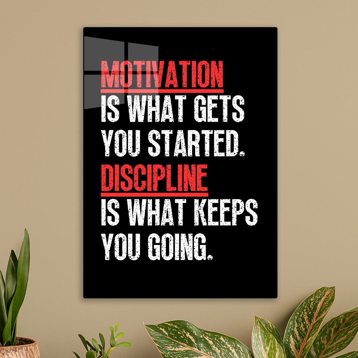 Motivation VS Discipline