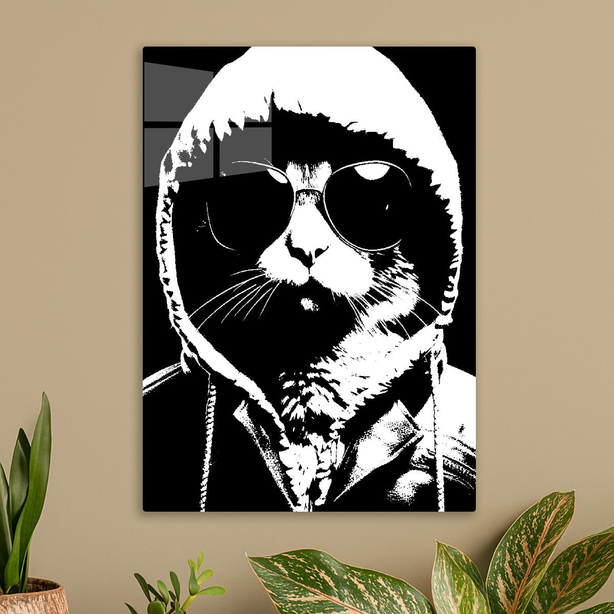 Cat cool