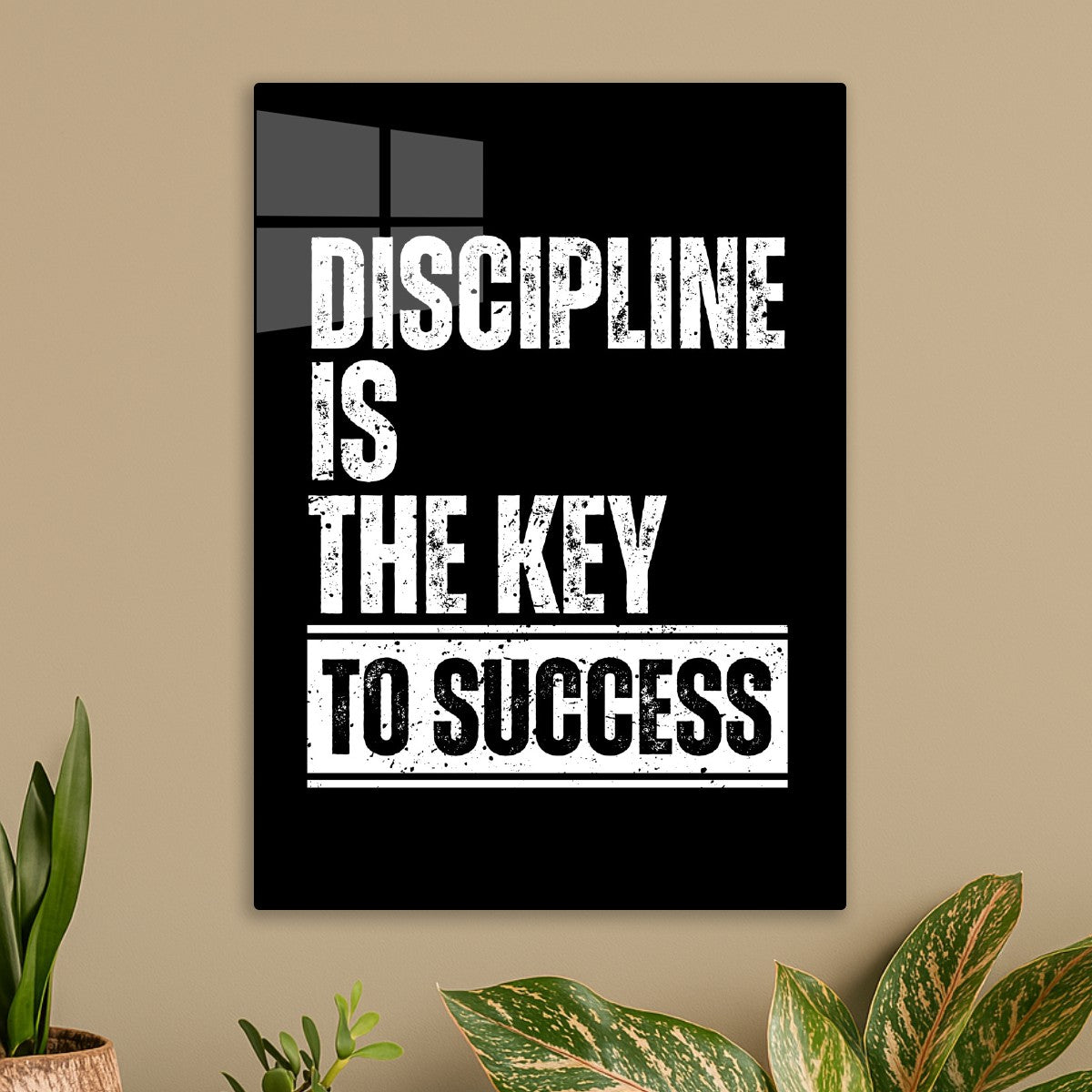 Discipline to success