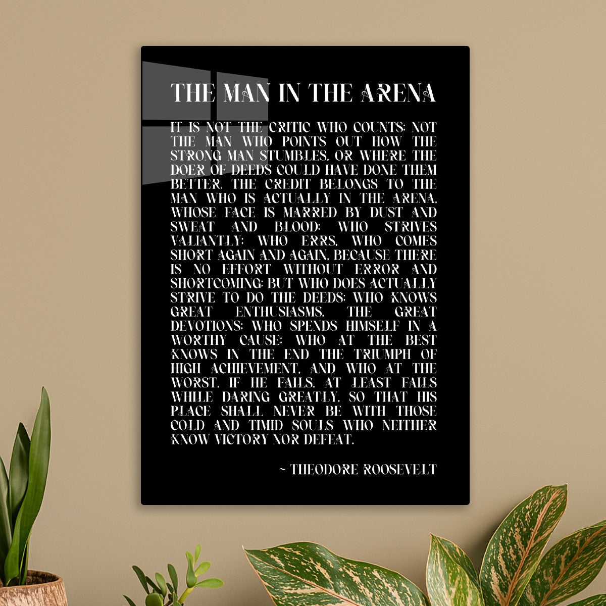 The Man In The Arena