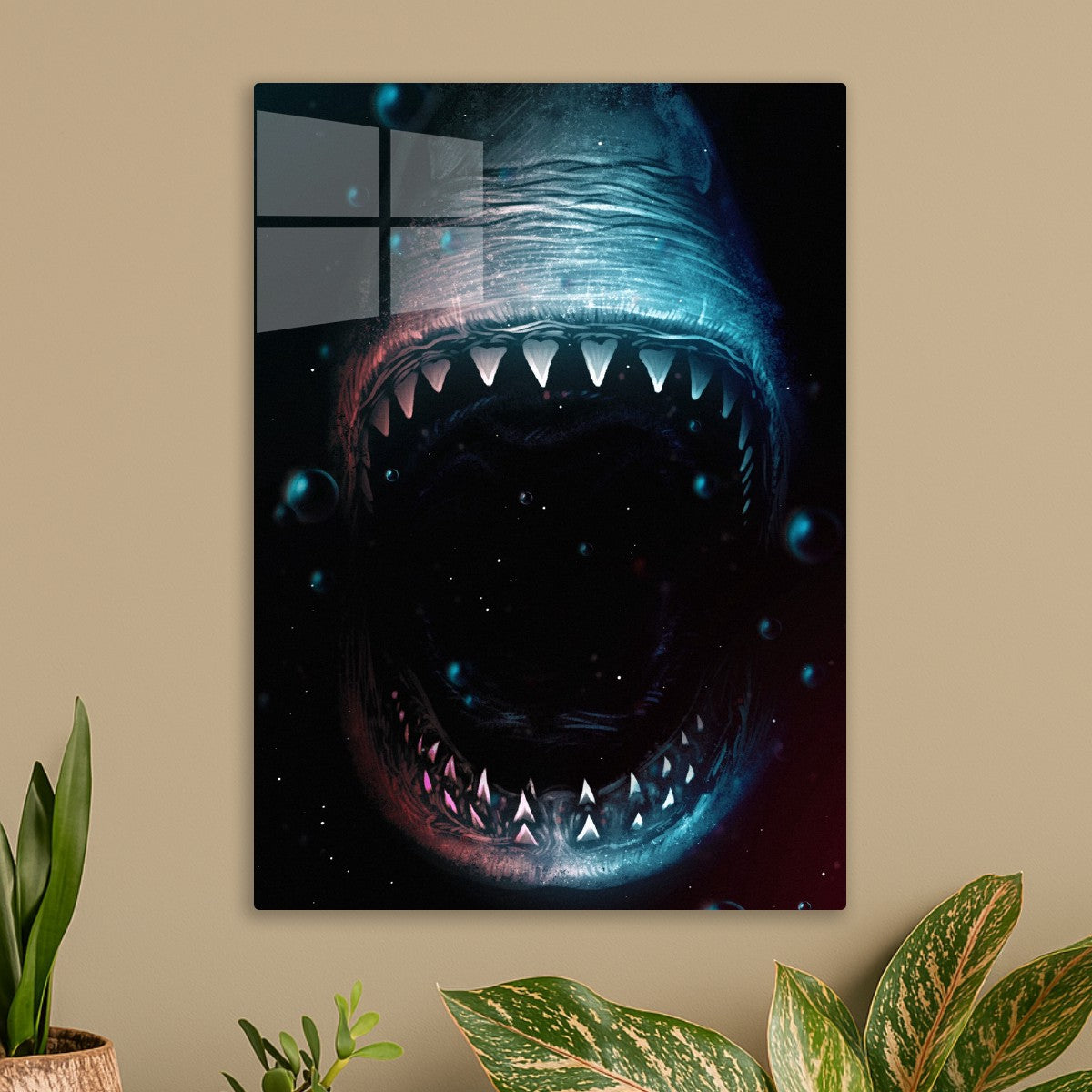 Shark
