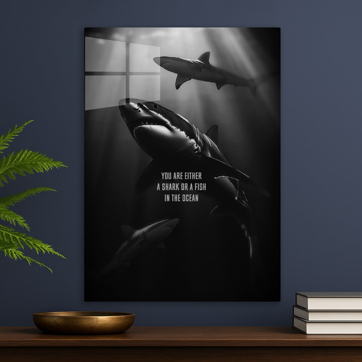 Shark 
