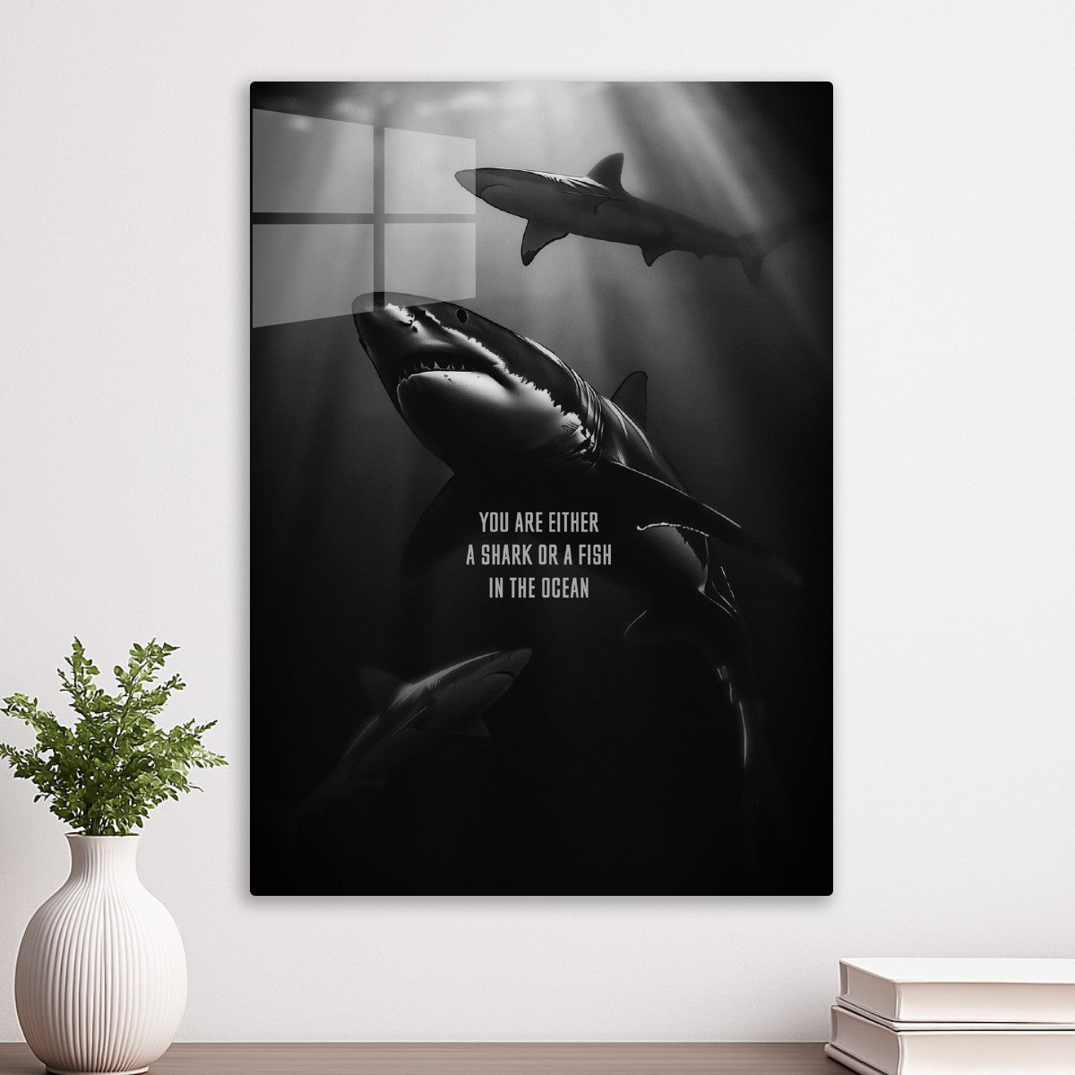 Shark 