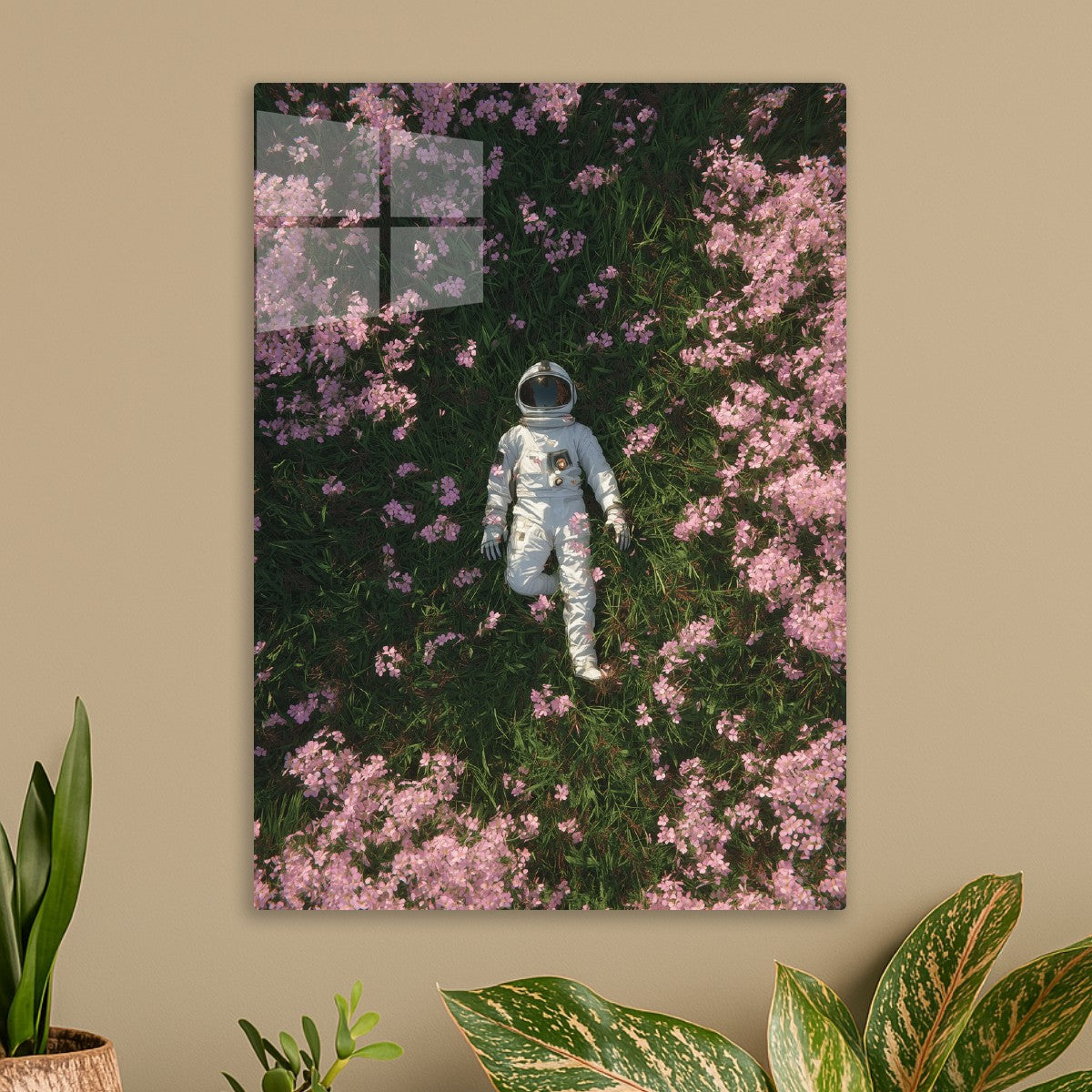 Terrestrial Beauty 