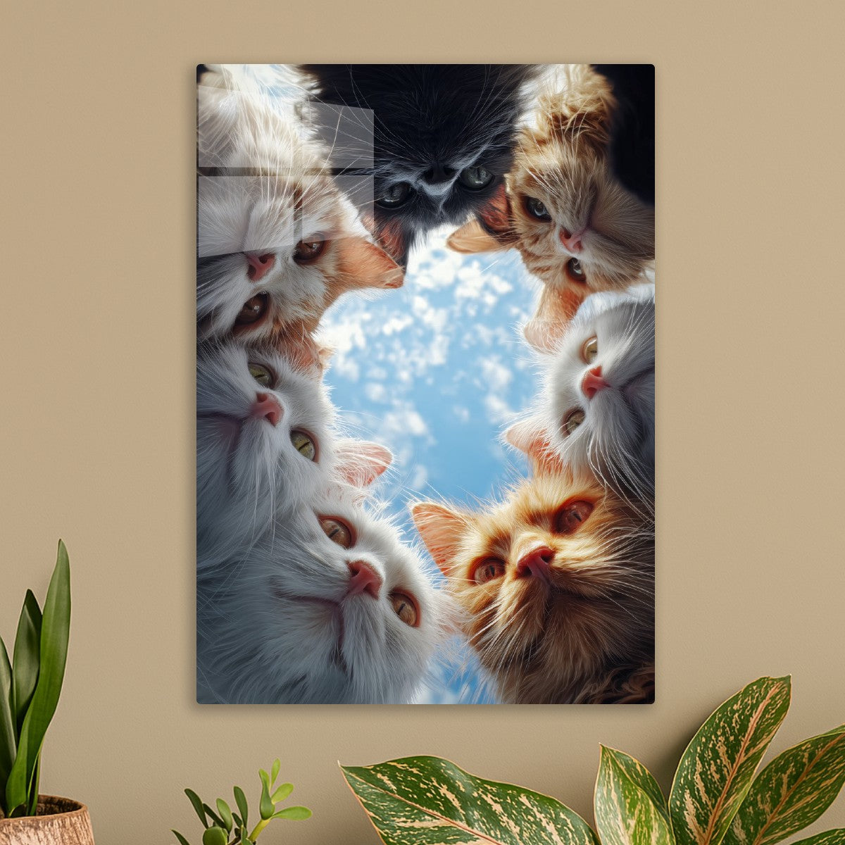 A Circle Of CUTE cats
