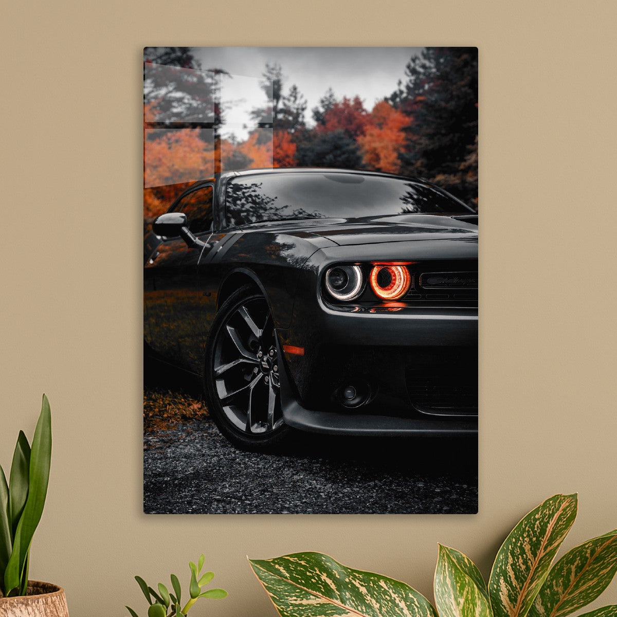 Dodge Orange Autumn 