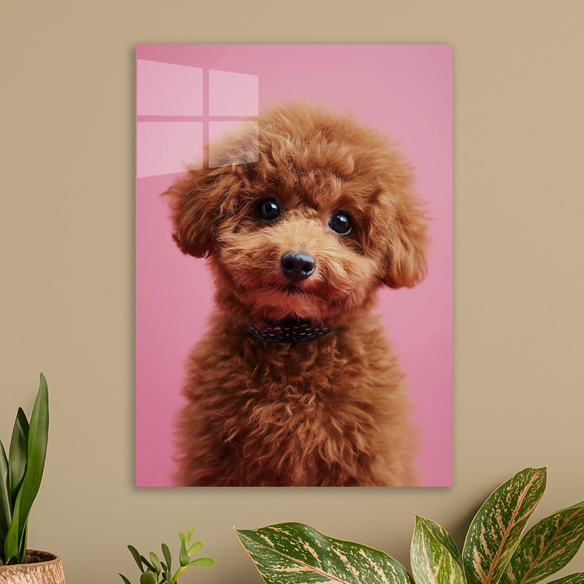 Dog cute