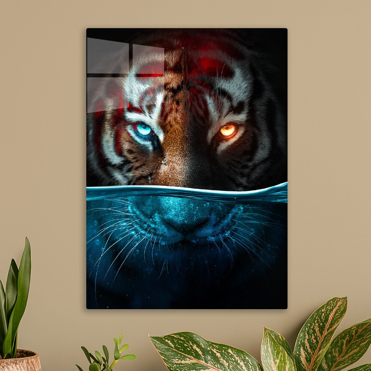 Furious Tiger In Depths