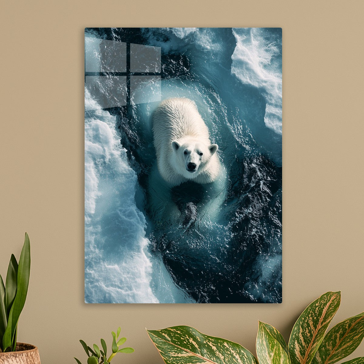 Polar bear