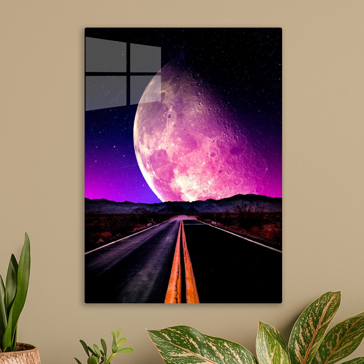 Pink Moon