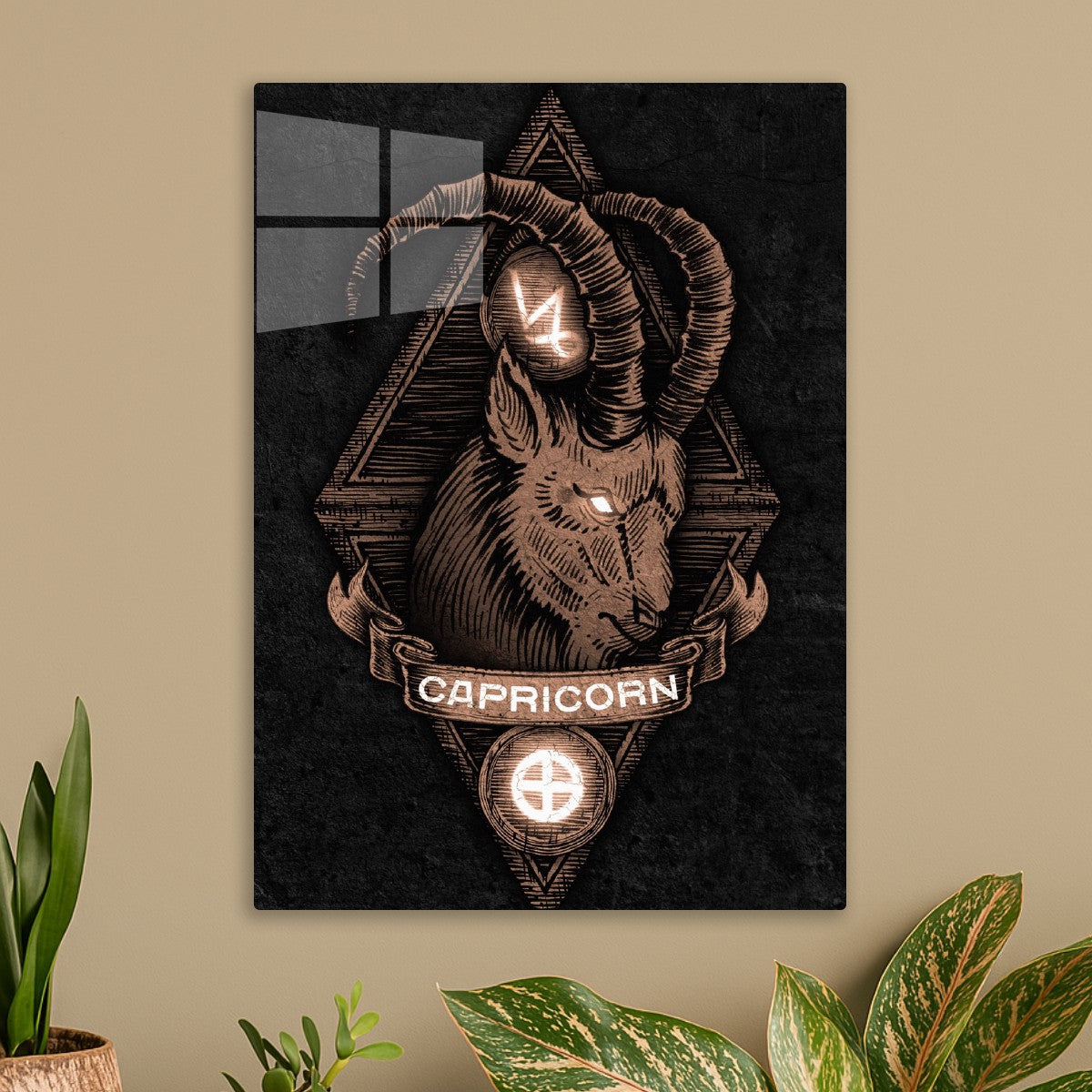 Capricorn 