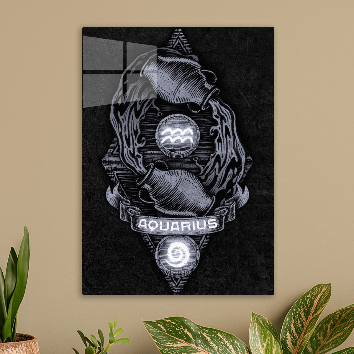 Aquarius 