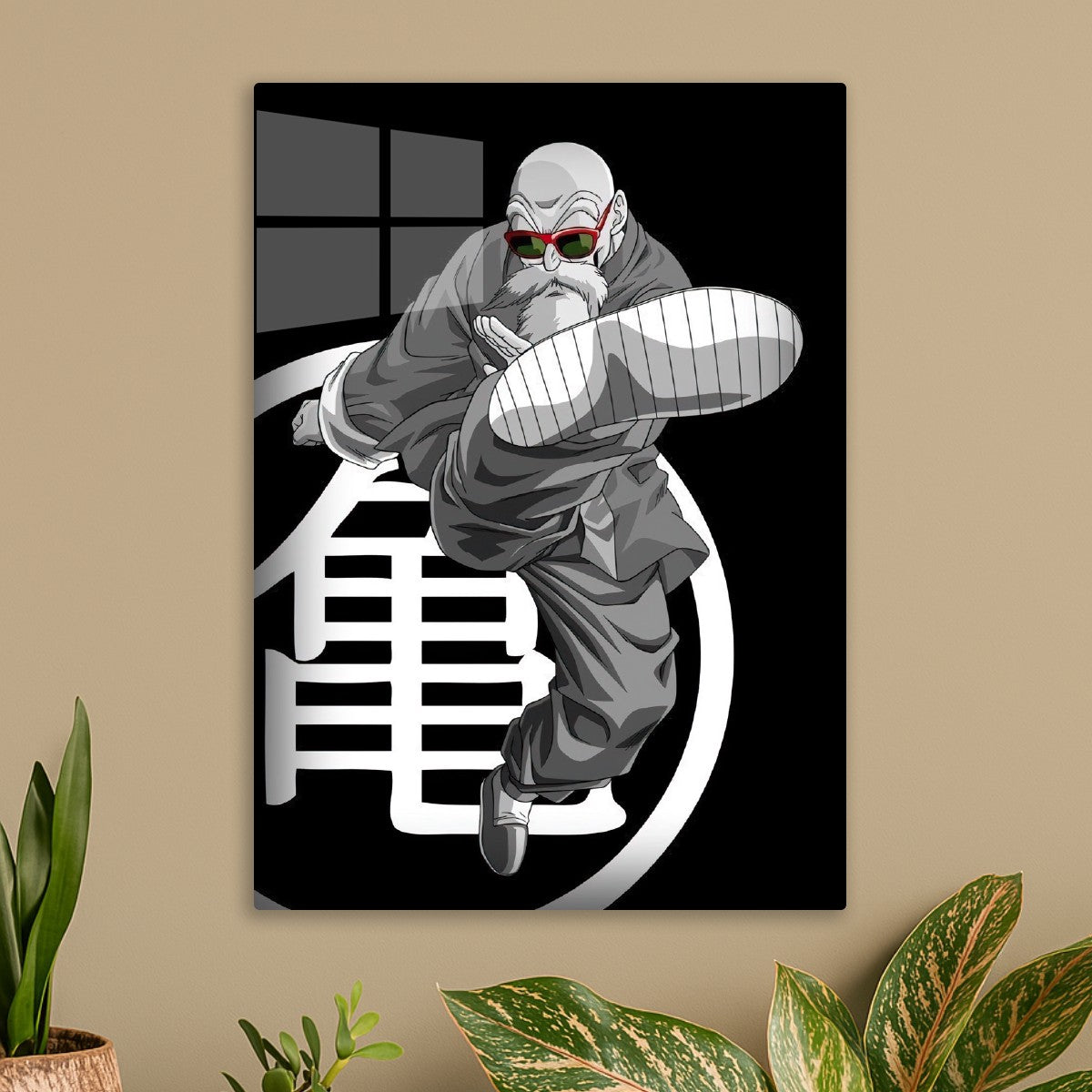 Master Roshi, Dragon ball