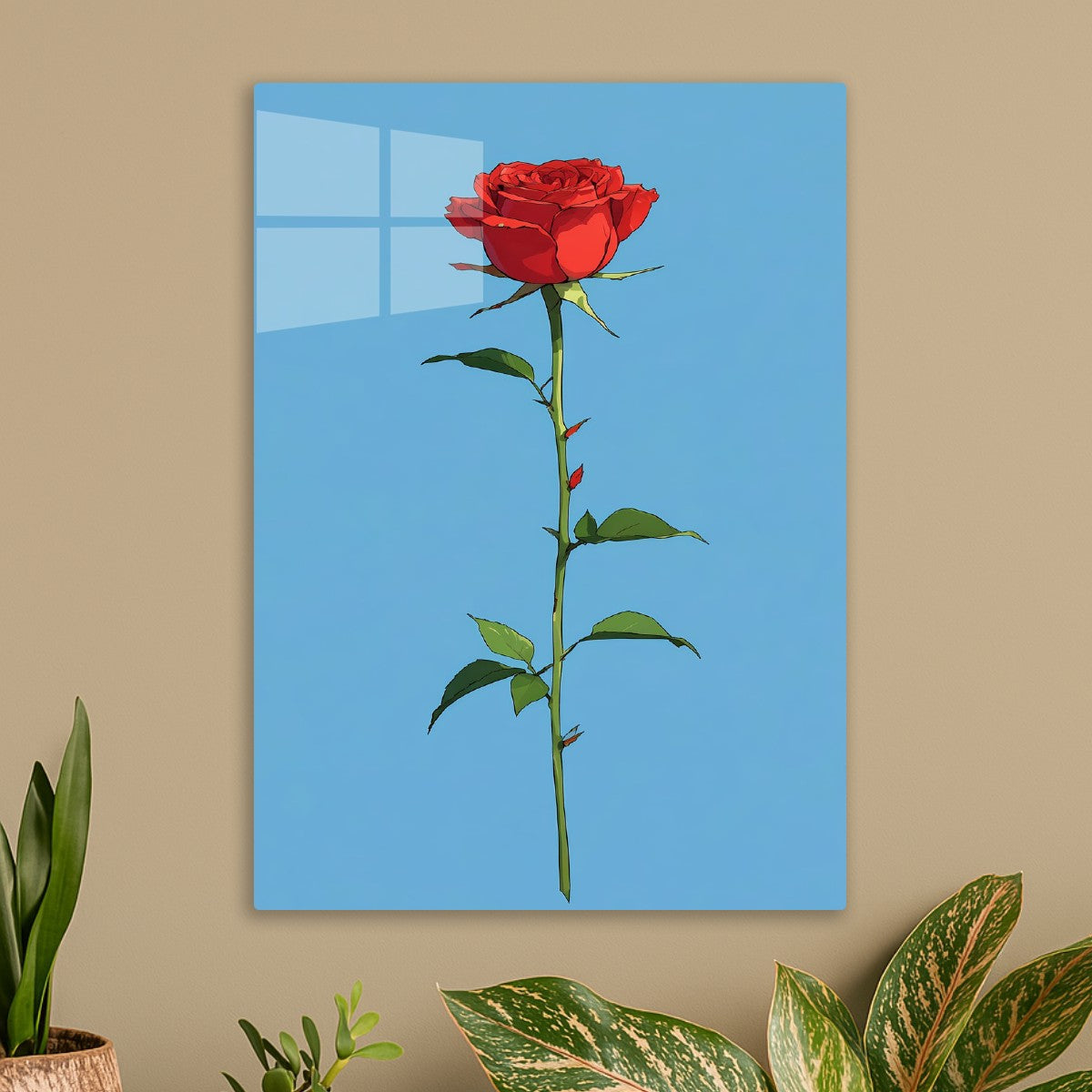 Beautiful Red Rose